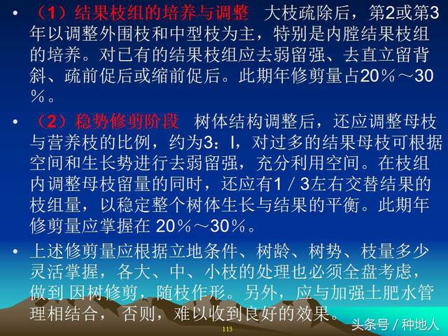 核桃整形修剪技术图解