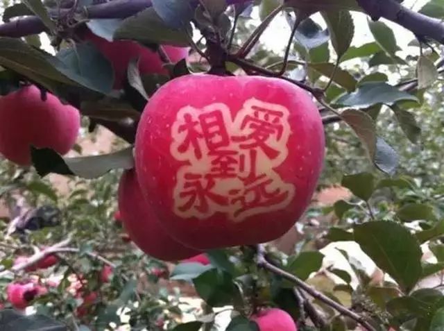 苹果贴字技术