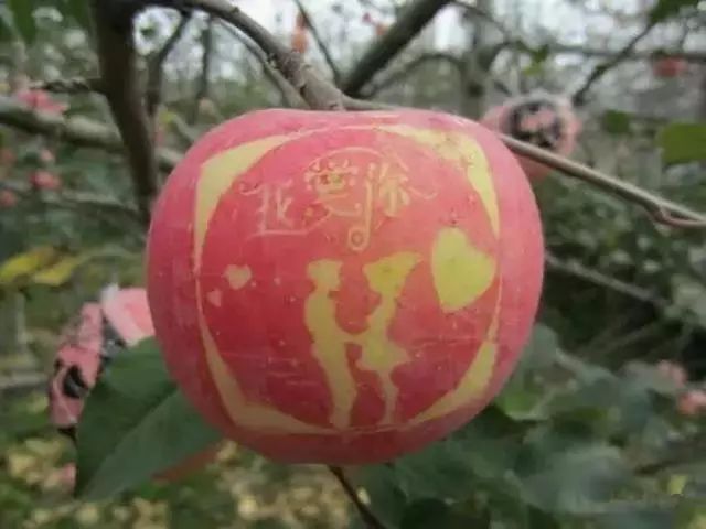 苹果贴字技术