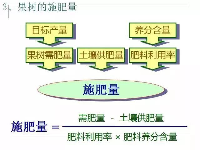 果园土壤的管理