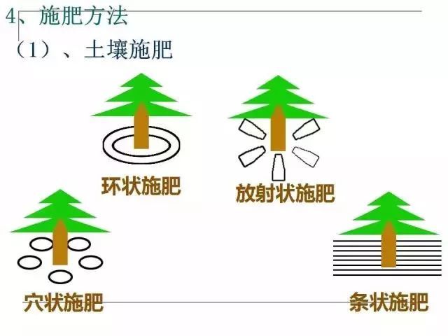 果园土壤的管理