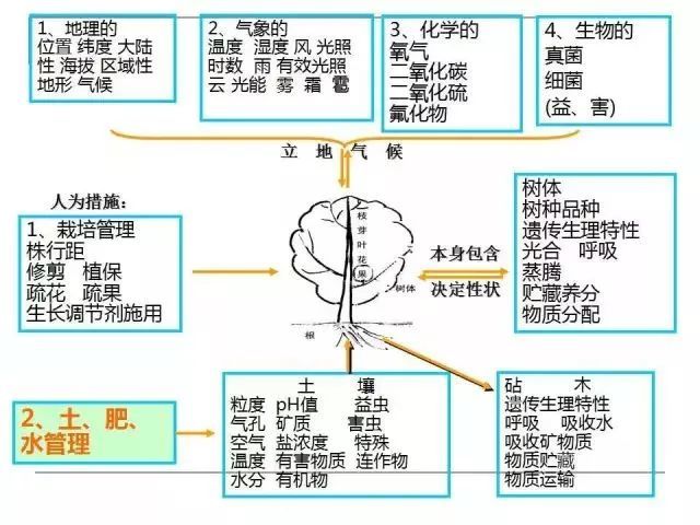 果园土壤的管理