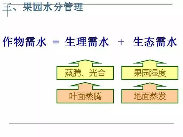 果园土壤的管理