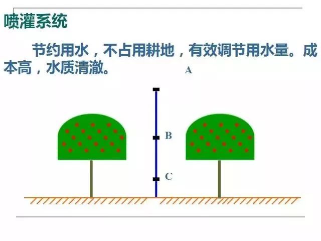 果园土壤的管理