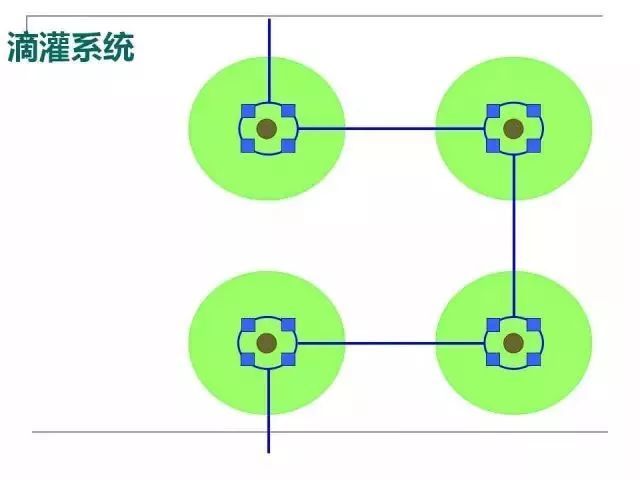 果园土壤的管理