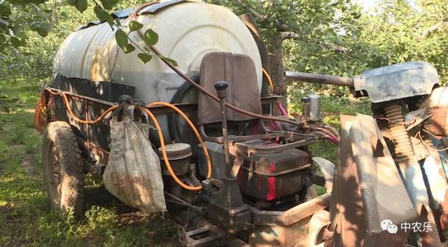 苹果追肥关键期,几种施肥方法省工又省力!