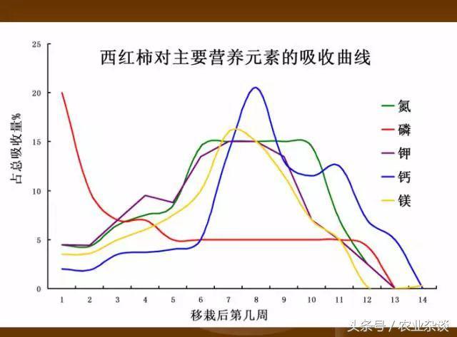 作物缺啥肥高清图片，一看就懂