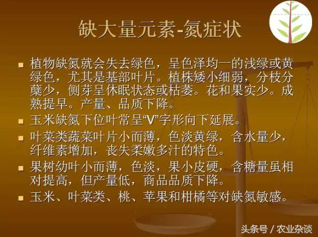 作物缺啥肥高清图片，一看就懂