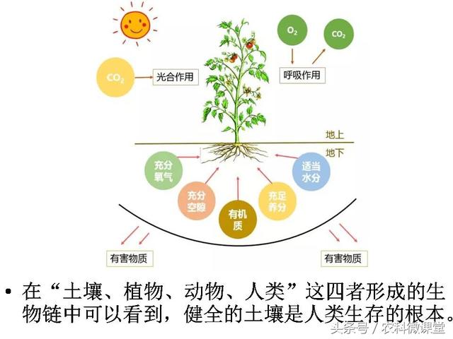 健康的土壤标准