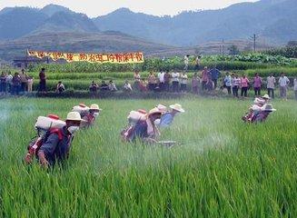 常用杀菌剂分类