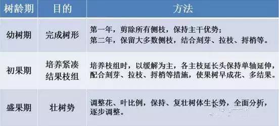 果树修剪技术详解六大板块