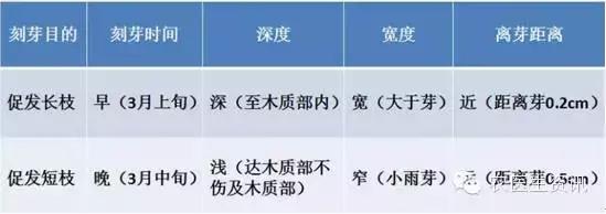果树修剪技术详解六大板块