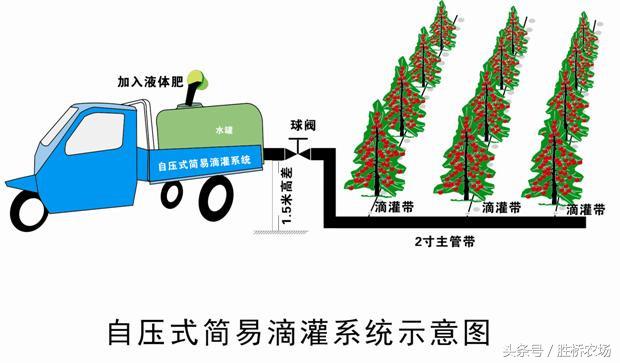 几种肥水一体化模式特点及资金预算