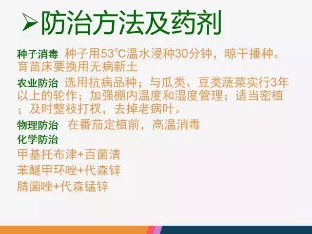 西红柿“十四大”病害症状和解决方案！