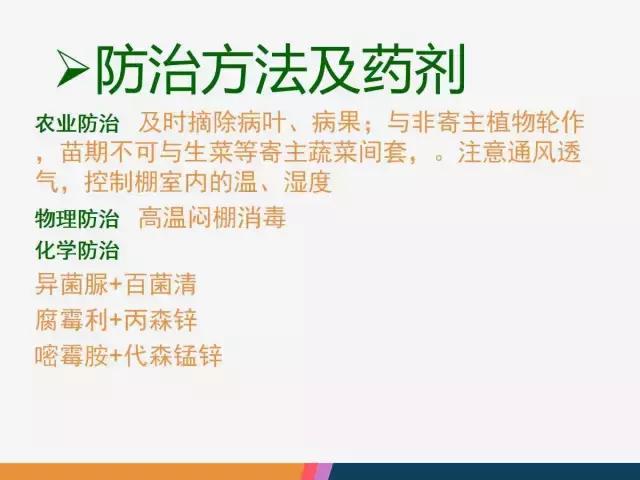 西红柿“十四大”病害症状和解决方案！