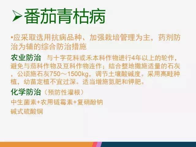 西红柿“十四大”病害症状和解决方案！