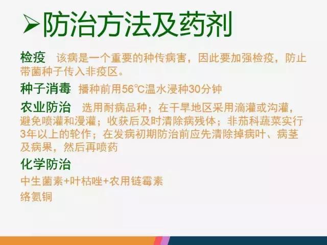 西红柿“十四大”病害症状和解决方案！