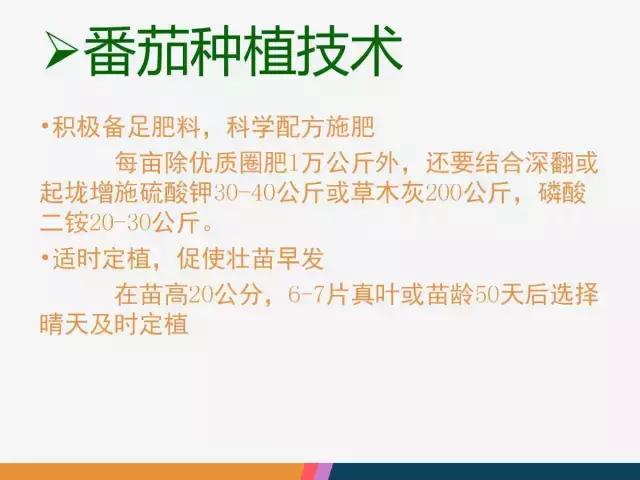 西红柿“十四大”病害症状和解决方案！