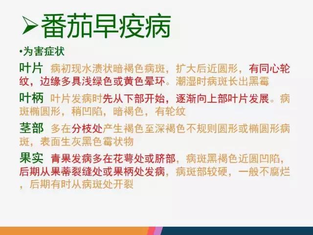 西红柿“十四大”病害症状和解决方案！