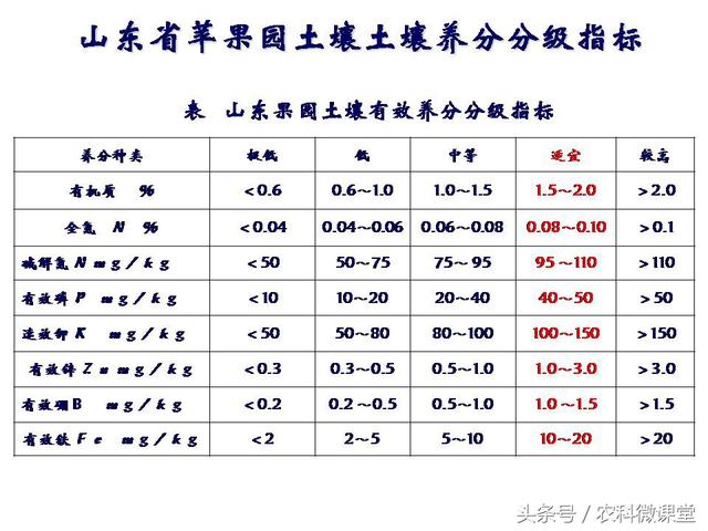 苹果秋冬施肥管理技术