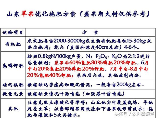 苹果秋冬施肥管理技术