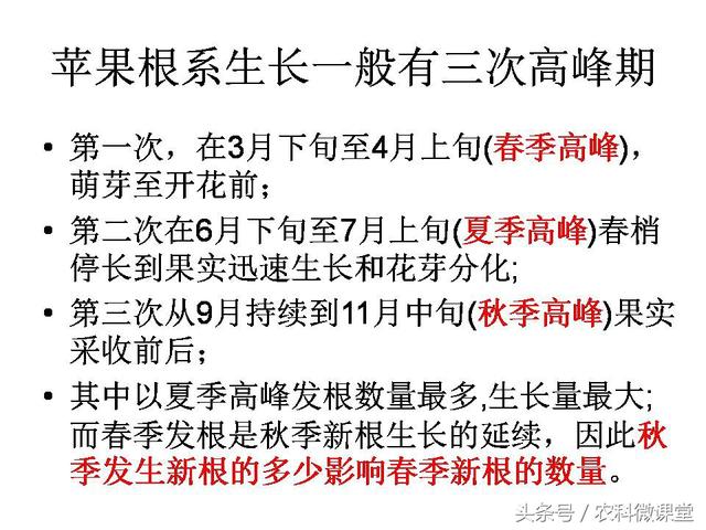 苹果秋冬施肥管理技术