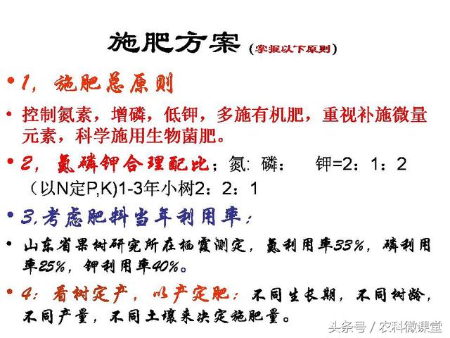 苹果秋冬施肥管理技术