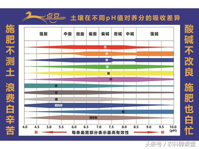 苹果秋冬施肥管理技术