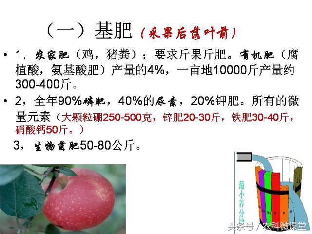 苹果秋冬施肥管理技术