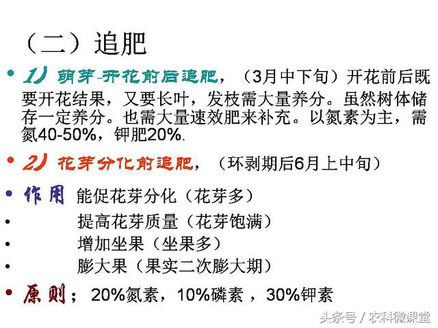 苹果秋冬施肥管理技术
