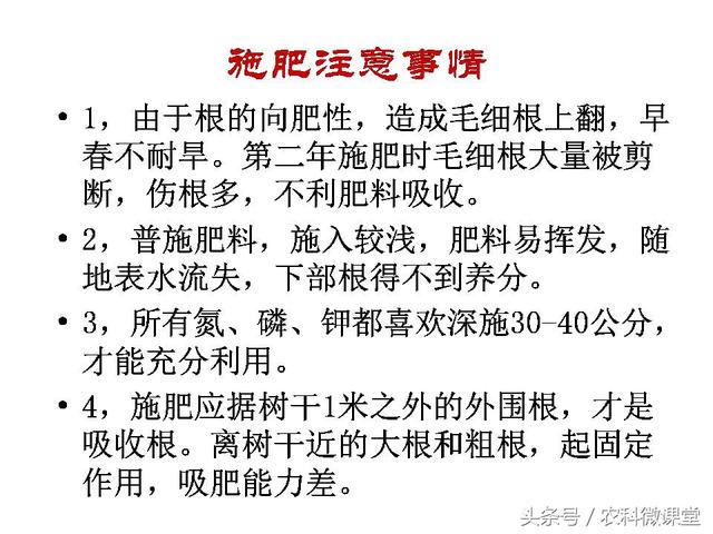 苹果秋冬施肥管理技术