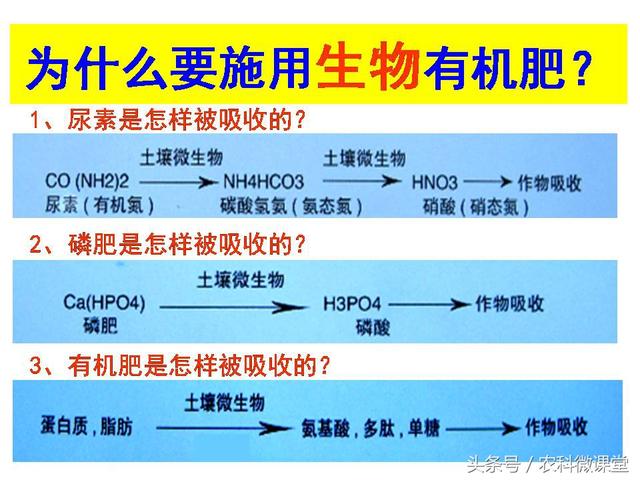 苹果秋冬施肥管理技术