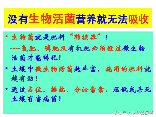 苹果秋冬施肥管理技术