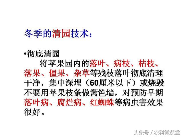 苹果秋冬施肥管理技术