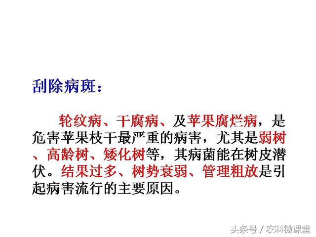 苹果秋冬施肥管理技术