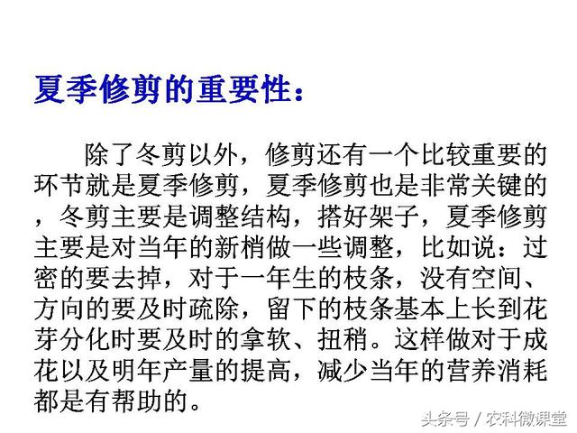 苹果秋冬施肥管理技术