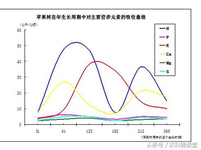 苹果秋冬施肥管理技术