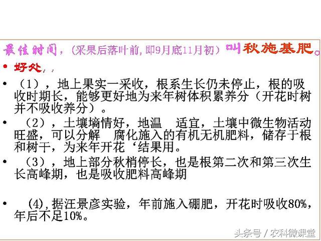 苹果秋冬施肥管理技术