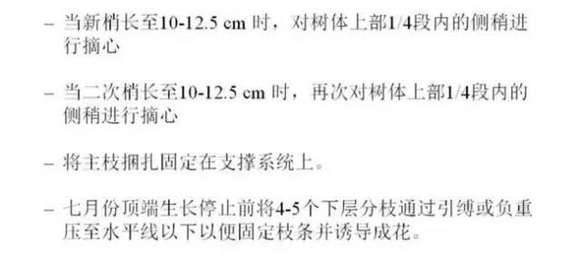 苹果树整形及修剪技术（专家版）