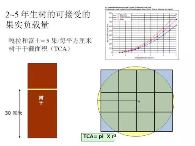 苹果树整形及修剪技术（专家版）