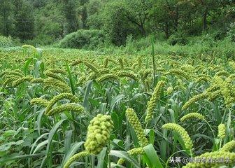 农谚大全1000则（下）