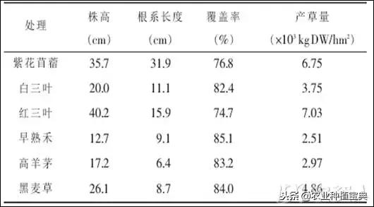 详谈果园种草
