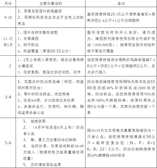 李子树栽培管理技术详细讲解