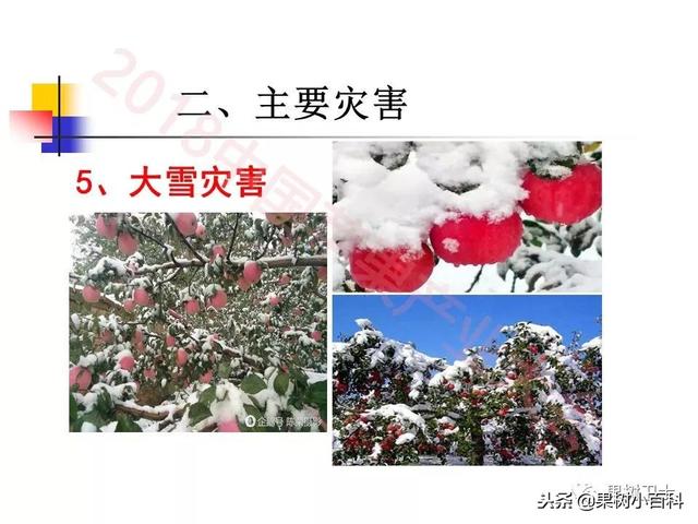 自然灾害与防灾减灾技术总结