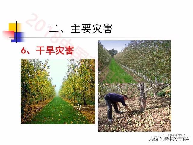 自然灾害与防灾减灾技术总结