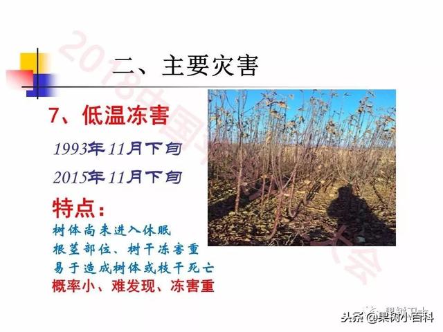 自然灾害与防灾减灾技术总结