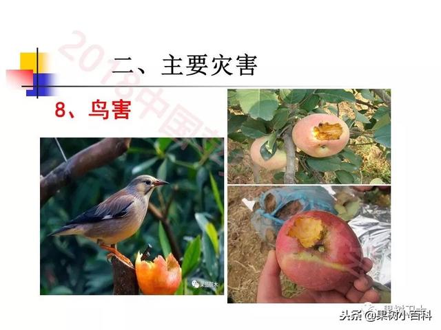 自然灾害与防灾减灾技术总结