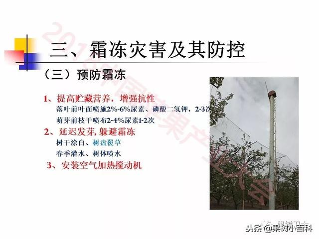 自然灾害与防灾减灾技术总结