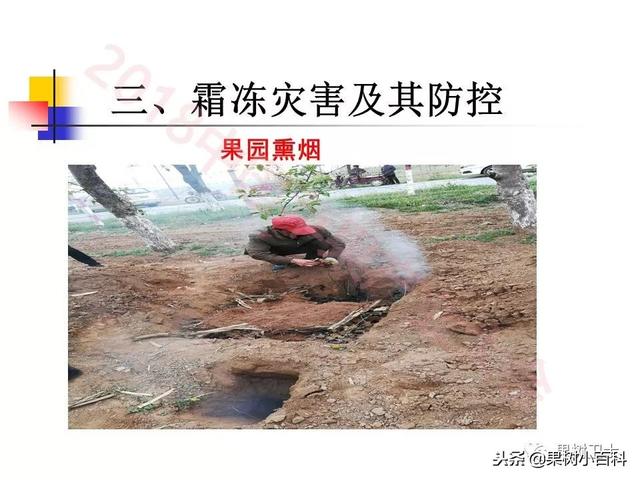 自然灾害与防灾减灾技术总结