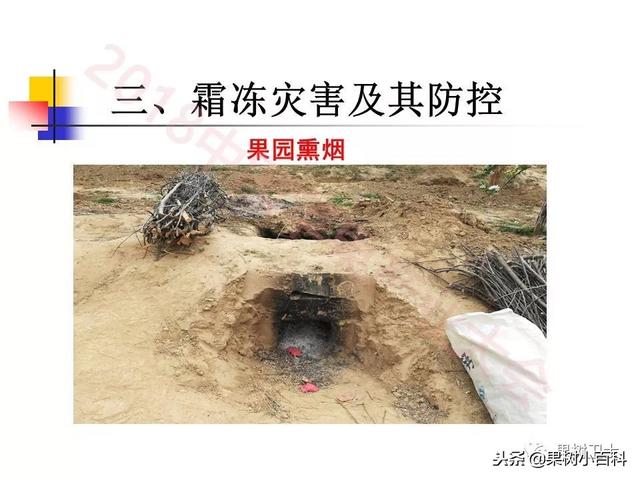 自然灾害与防灾减灾技术总结